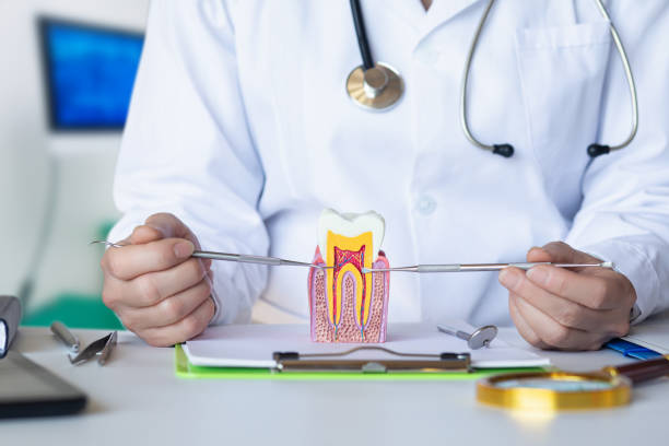 Best Emergency Dental Care for Broken or Chipped Teeth in Brigham City, UT
